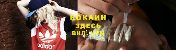 ALPHA-PVP Каменка